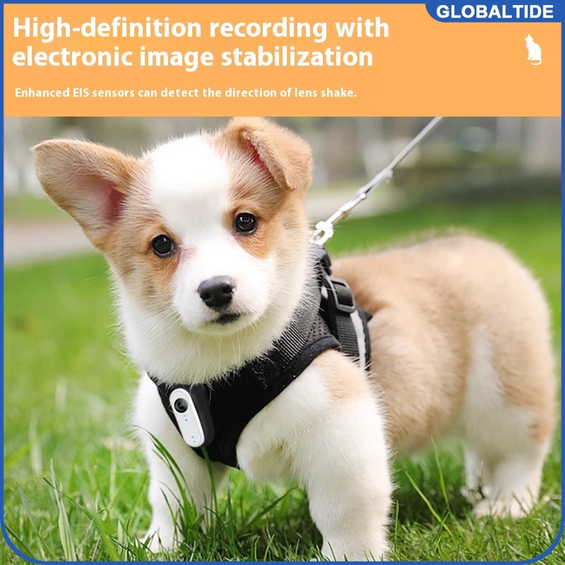 Outdoor Adventure Hours - Mini telecamera impermeabile per cani e